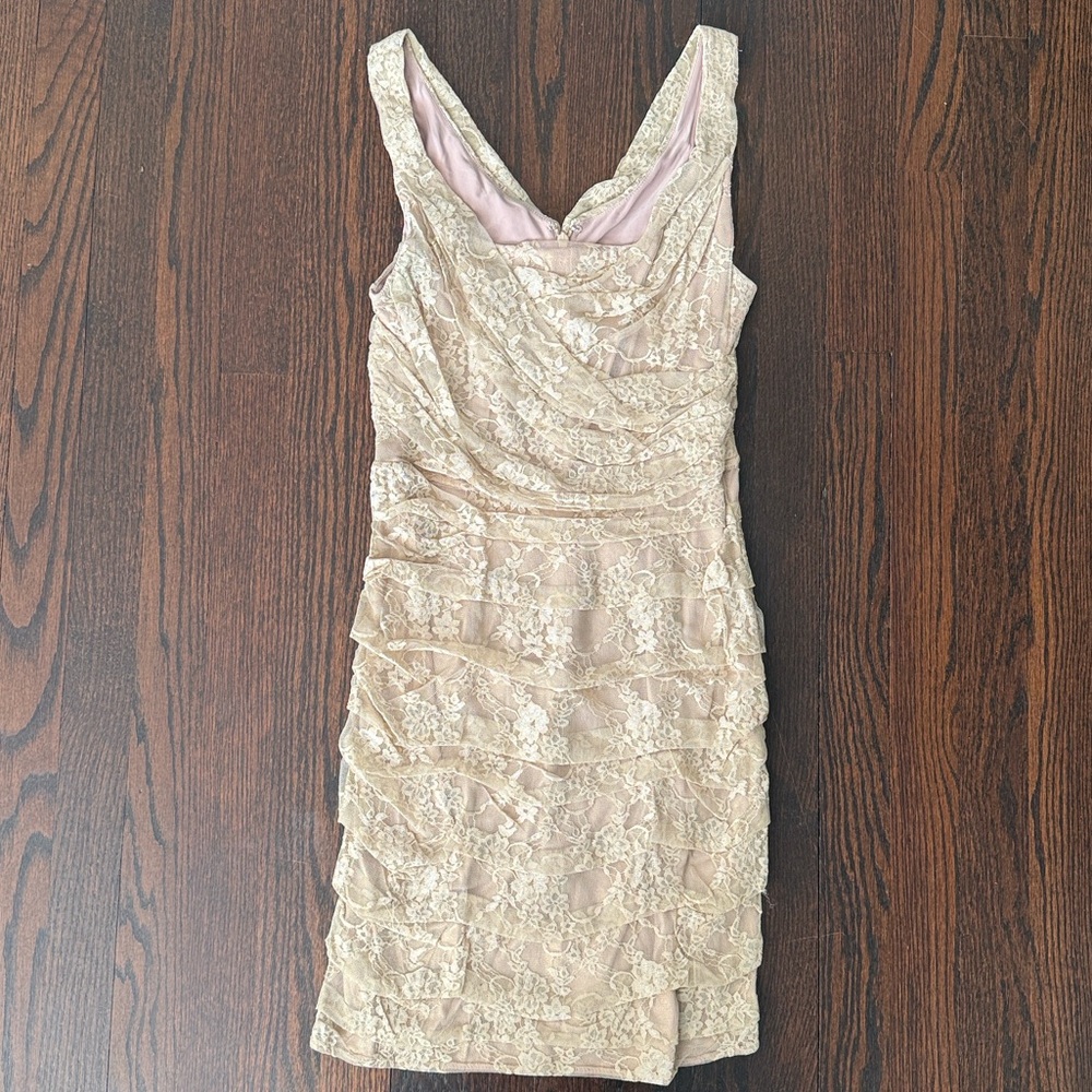 Express Vintage Lace Overlay Mini Dress in Cream